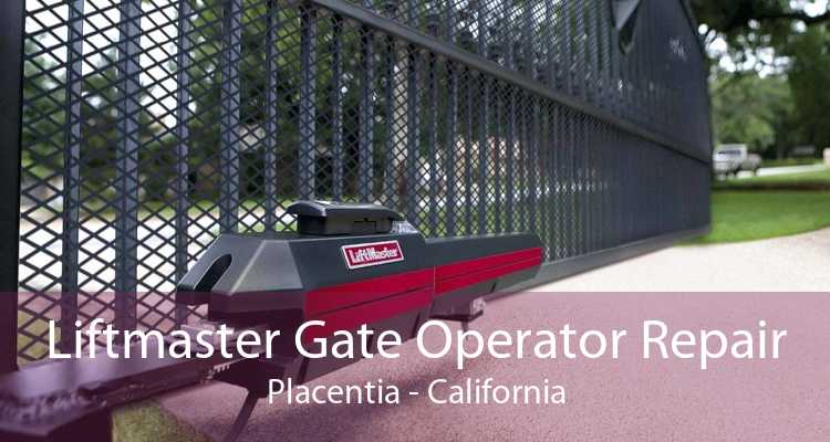 Liftmaster Gate Operator Repair Placentia - California